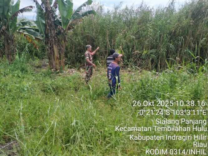 Babinsa Sialang Panjang Patroli Tapal Batas Cegah Titik Api di Wilayah Binaan