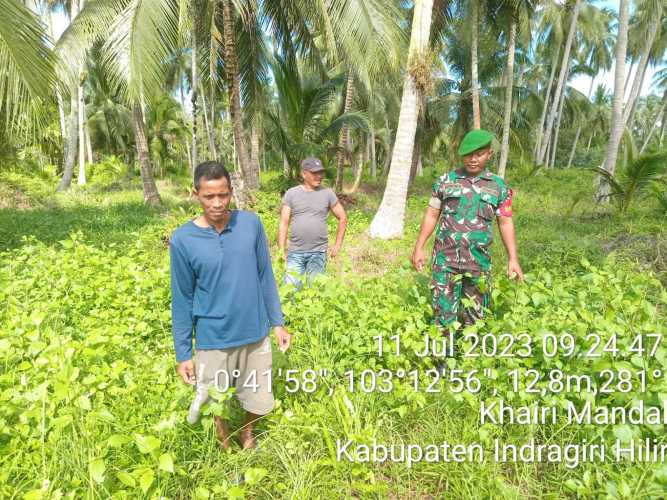 Kopda Sudarwis Lakukan Monitoring Karhutlah di Kelurahan Mandah