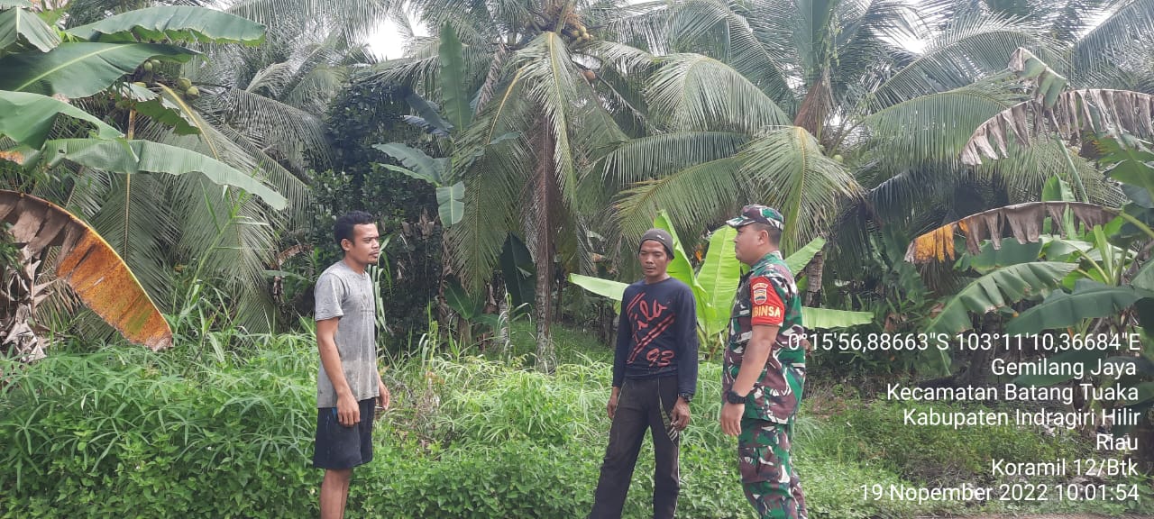 Babinsa Gemilang Jaya Ajak Warga Awasi Lahannya