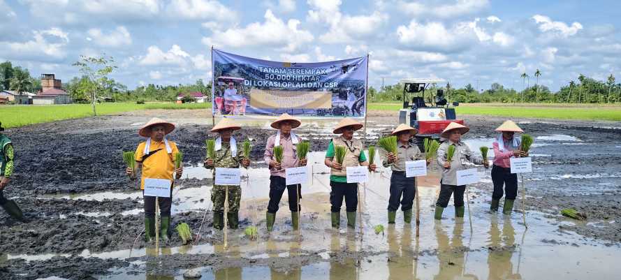 Tanam Serentak 50.000 Hektar Se-Indonesia, Distan Inhil Fokus Kendalikan Inflasi Beras
