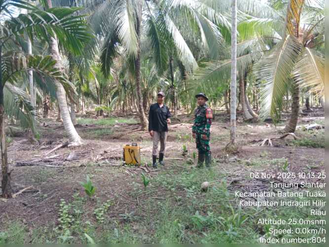 Babinsa Koramil 12/BTK Laksanakan Sosialisasi kesadaran Lingkungan Lewat  Patroli Tapal Batas di Desa Tanjung Siantar