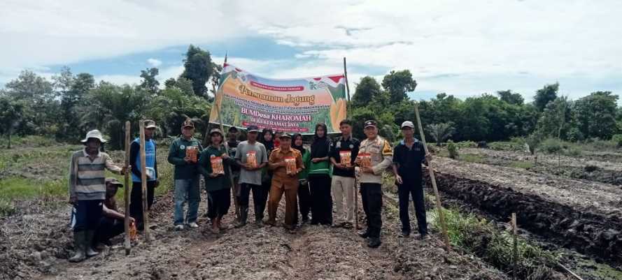 Polsek Pulau Burung Bersama Pemerintah Desa Keramat Jaya dan masyarakat melaksanakan kegiatan Penanaman Jagung Serentak