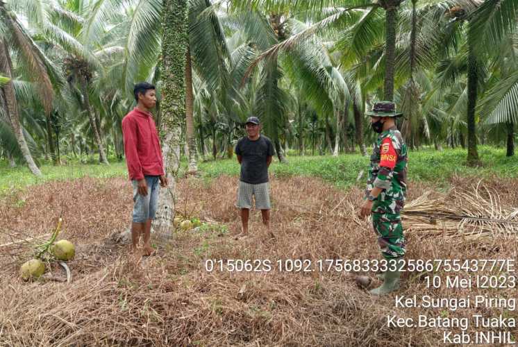 Koptu Sihabuddin Babinsa Koramil 12/Batang Tuaka Berlakukan Teknis Cegah Karhutlah