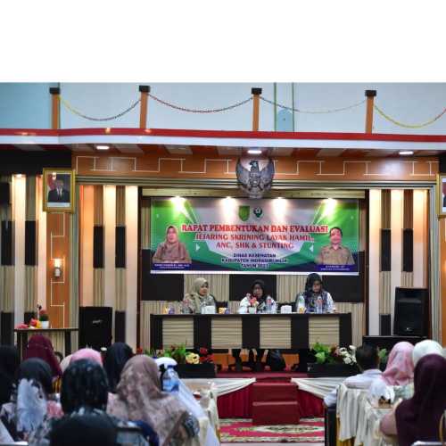 Galeri Dinkes Inhil Gelar Kegiatan Pembentukan dan  Evaluasi  Jejaring