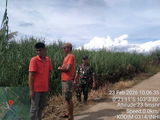 Babinsa Koramil 01/Tbh Intensif Amati Tapal Batas Desa Sialang Panjang, Situasi Terpantau Aman dan Kondusif