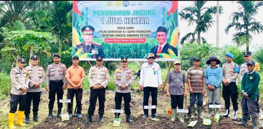 Kapolsek Tembilahan Hulu Pimpin Penanaman Jagung, Wujudkan Ketahanan Pangan