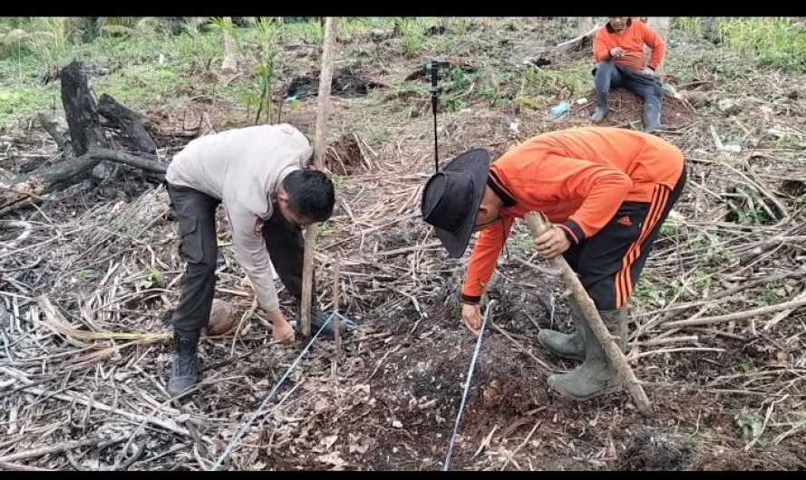 Personil Polsek Concong Memulai Penanaman Jagung Serentak
