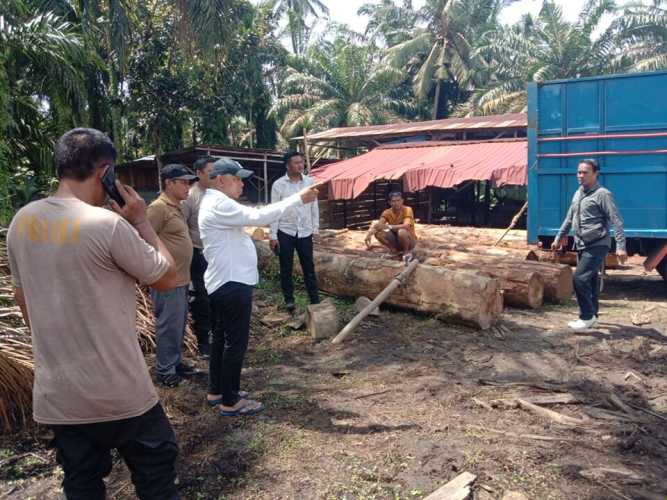 Anggota DPRD Asahan Temukan Kayu Gelondongan Tanpa Dokumen Resmi