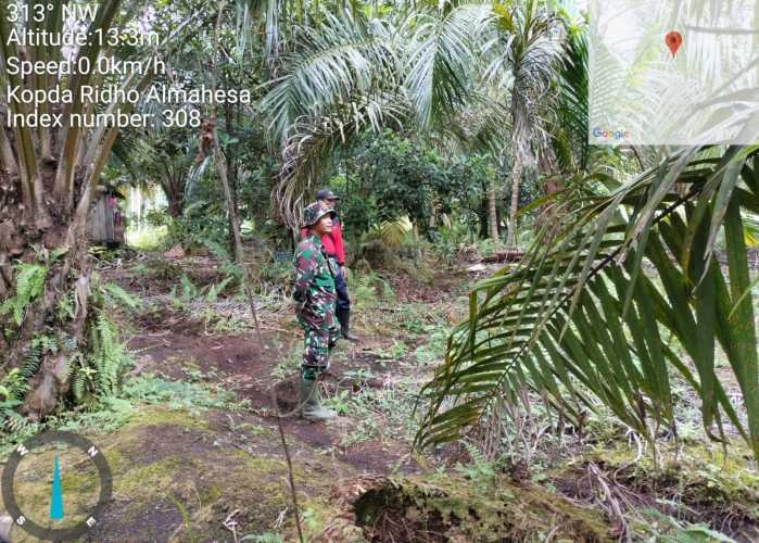 Kopda Ridho Almahesa Lakukan Pemantauan Rutin Lahan Konsesi Akasia