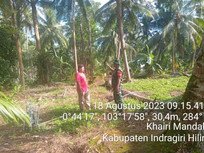 Babinsa Mendorong Pengelolaan Kebun yang Baik