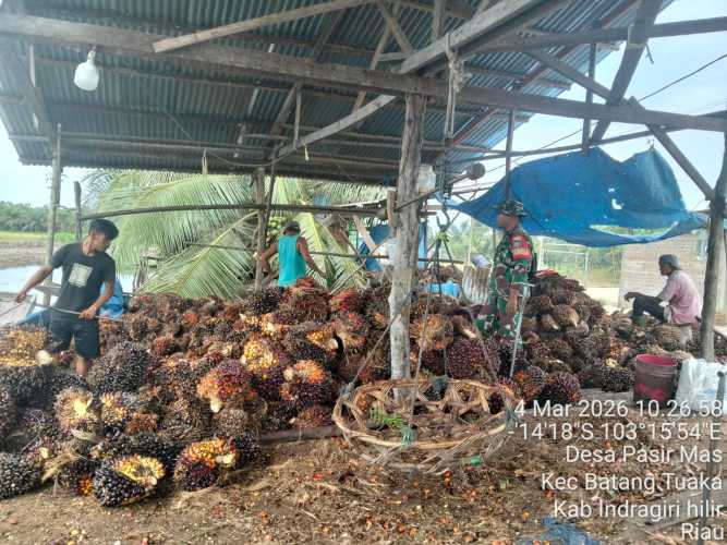 Babinsa Pasir Mas Laksanakan Sosialisasi Keselamatan Kerja kepada Buruh Tani