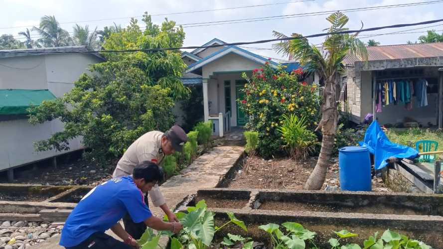 Bhabinkamtibmas Polsek Enok Dorong Ketahanan Pangan Melalui Pemanfaatan Pekarangan Warga dengan Tanaman Keladi