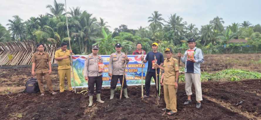 Babinkamtibmas Polsek Pelangiran Laksanakan Penanaman Jagung Kuartal III untuk Dukung Swasembada Pangan 2026