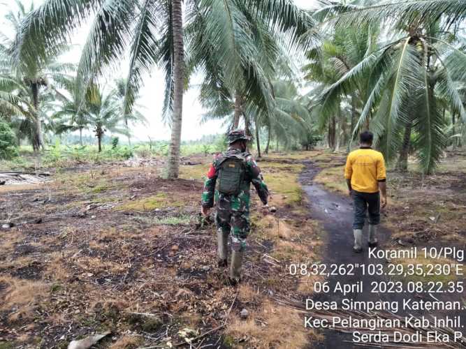 Serda Dodi Eka Putra Susuri  Lahan Perkebunan di Tengah Hari