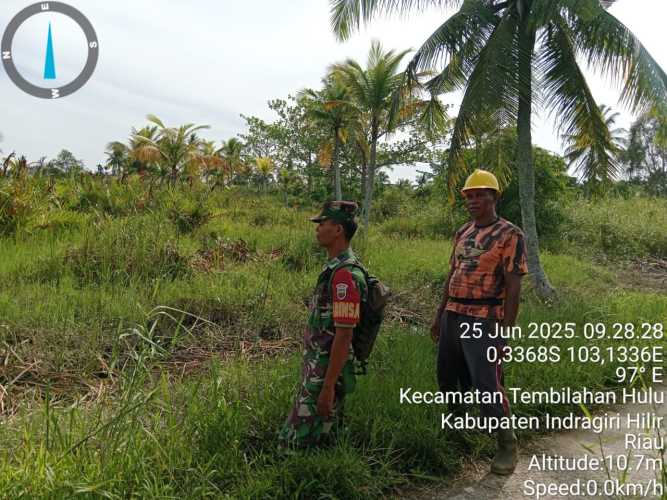 Babinsa Koramil 01/Tbh Monitoring Karhutla dan Lahan Pangan