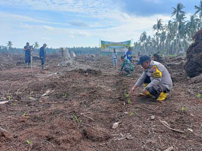 Bhabinkamtibmas Desa Belantaraya Laksanakan Pemantauan Progres Penanaman Jagung di Dusun Siagas Jaya