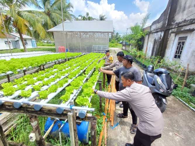 Sat Binmas Polres Inhil Lakukan Pengecekan Program Pekarangan Pangan Bergizi di Kelurahan Pekan Arba