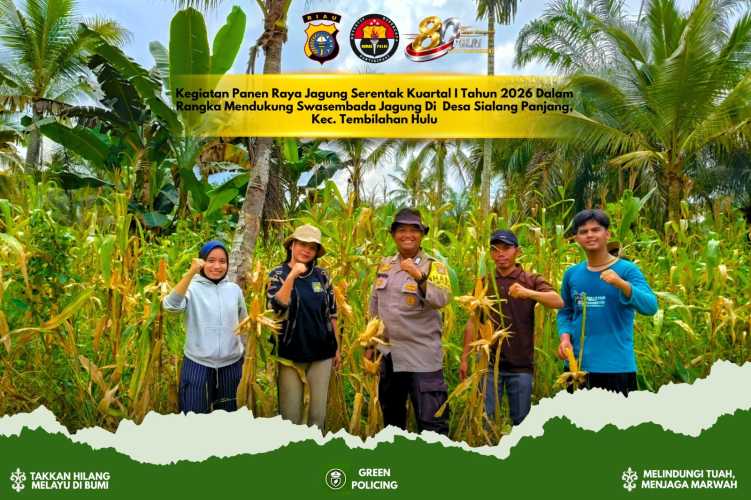 Panen Raya Jagung Serentak Kuartal I 2026 di Sialang Panjang, Polsek Tembilahan Hulu Dukung Swasembada Pangan