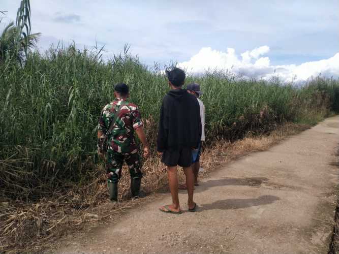 Babinsa Sialang Panjang Laksanakan Patroli Tapal Batas Wilayah Secara Terpadu