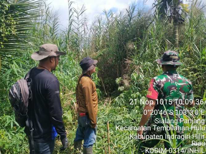 Babinsa menjaga tapal batas melalui patroli gabungan: