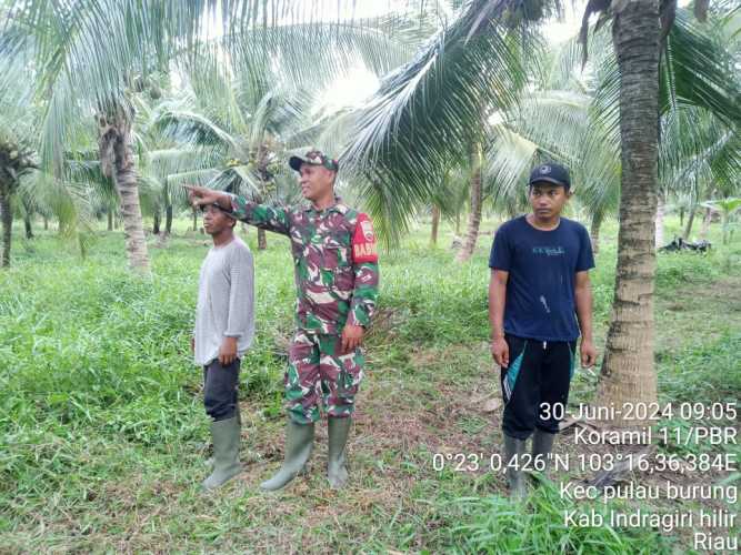 Babinsa Koramil 11/Pulau Burung Kembalikan Kelestarian Alam Setempat