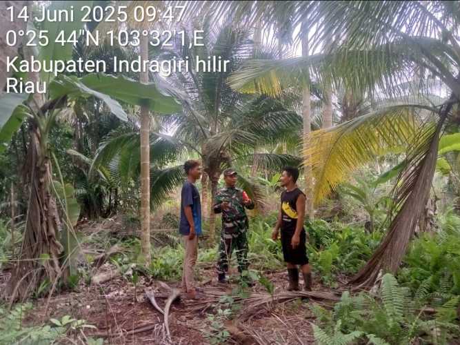 Babinsa Koramil 11/Pulau Burung  Pantau Rawan Karhutla di Desa Ringin Jaya