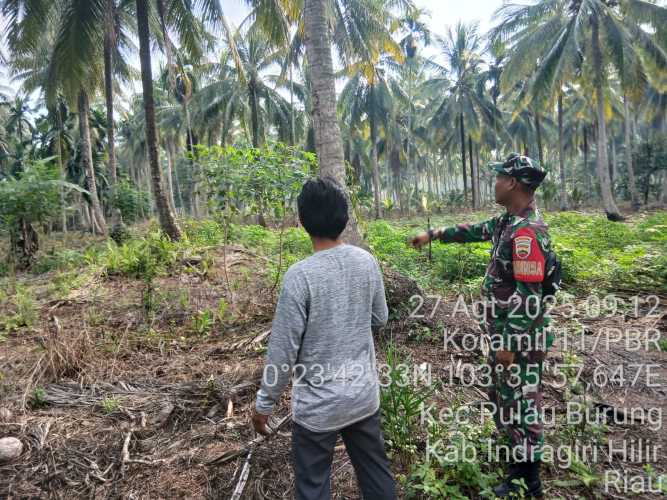 Pulau Burung Siaga Karhutla, Babinsa Serda Hendra Kardi Gencar Patroli