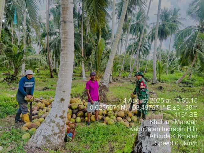 Babinsa Kopda Hendri Berikan Edukasi Pertanian kepada Warga Desa Bente Aceh