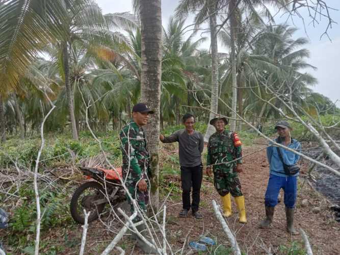 Babinsa Kroscek Titik Api di Lahan Desa Suka Jaya