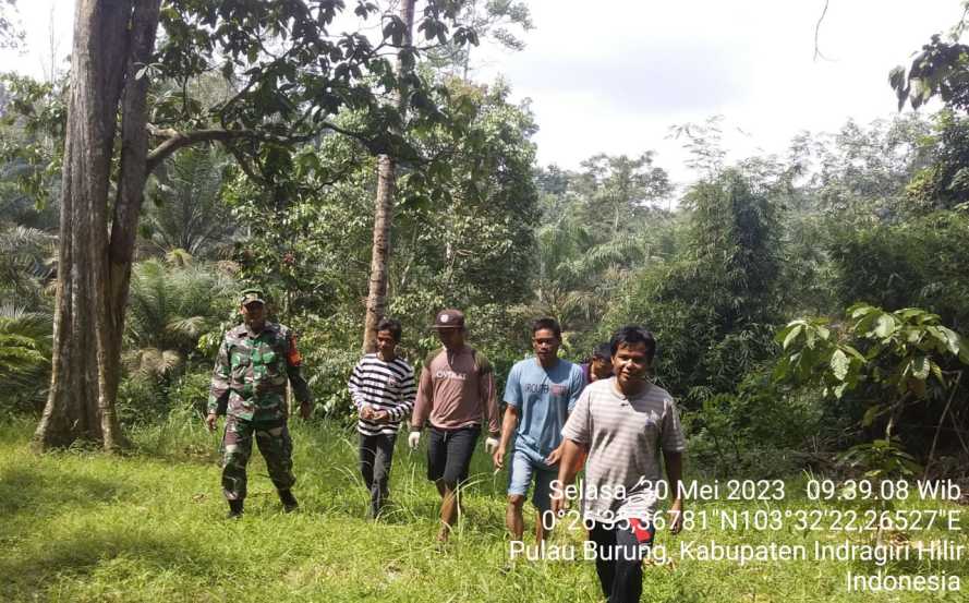 Babinsa Menjaga Stabilitas Biota Hutan Konsesi