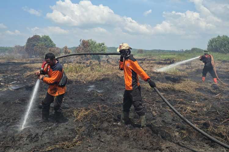 Pemkab Rohil Tetapkan Status Darurat Karhutla Hingga November