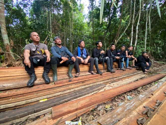 7 Hari di Rimba Riau: Menembus Hutan, Harimau, dan Buaya Demi Amankan 300 Kubik Kayu Ilegal