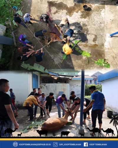 Memaknai Idul Adha, KSOP Kelas IV Tembilahan Laksanakan Pemotongan Hewan  dan Pembagian Daging Qurban