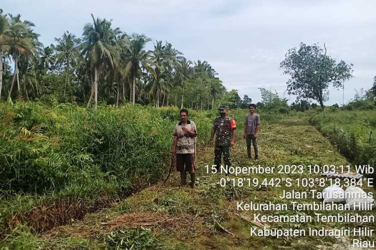 Cegah karlahut sertu Anton lakukan patroli dan sosialisasi*