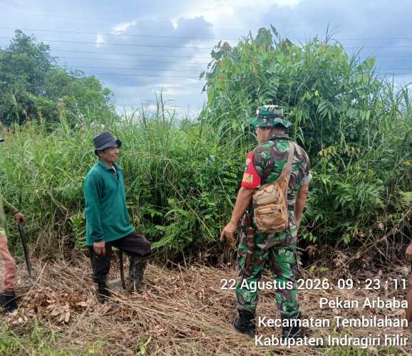 Babinsa Pekan Arba Gelar Patroli Intensif Cegah Karhutla di Lahan Kritis Tembilahan