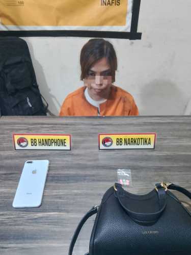 Satresnarkoba Polres Inhil Ungkap Kasus Peredaran Ekstasi, Seorang Wanita Diamankan
