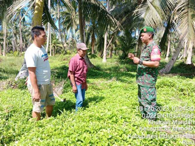 Babinsa Kembangkan Zona Bebas Karhutlah