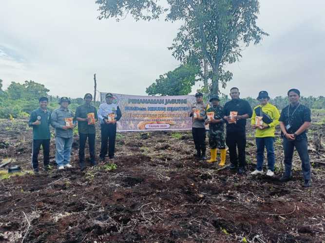 Camat Pulau Burung Dorong Ketahanan Pangan Lewat Penanaman Jagung di Desa Teluk Nibung