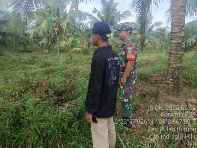 Babinsa Koramil 11/Pulau Burung Laksanakan Patroli Tapal Batas di Wilayah Desa Pulau Burung