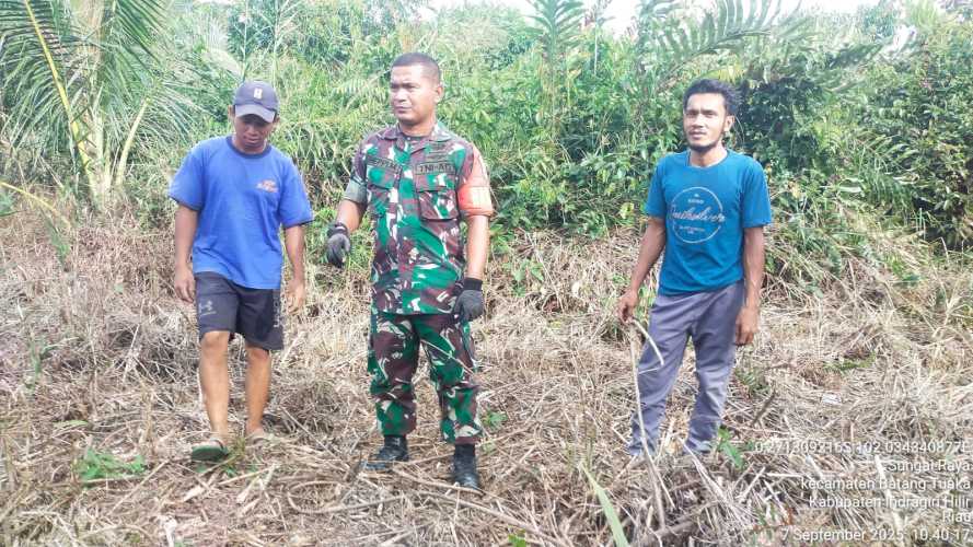 Babinsa Koramil 12/Batang Tuaka  Tegakkan Kewaspadaan, Lahan di Batang Tuaka Aman dari Karhutla