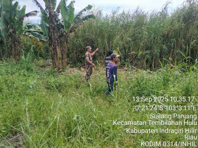 Babinsa Koramil 01/Tembilahan Gelar Patroli Tapal Batas di Desa Sialang Panjang, Jaga Kamtibmas Wilayah Binaan