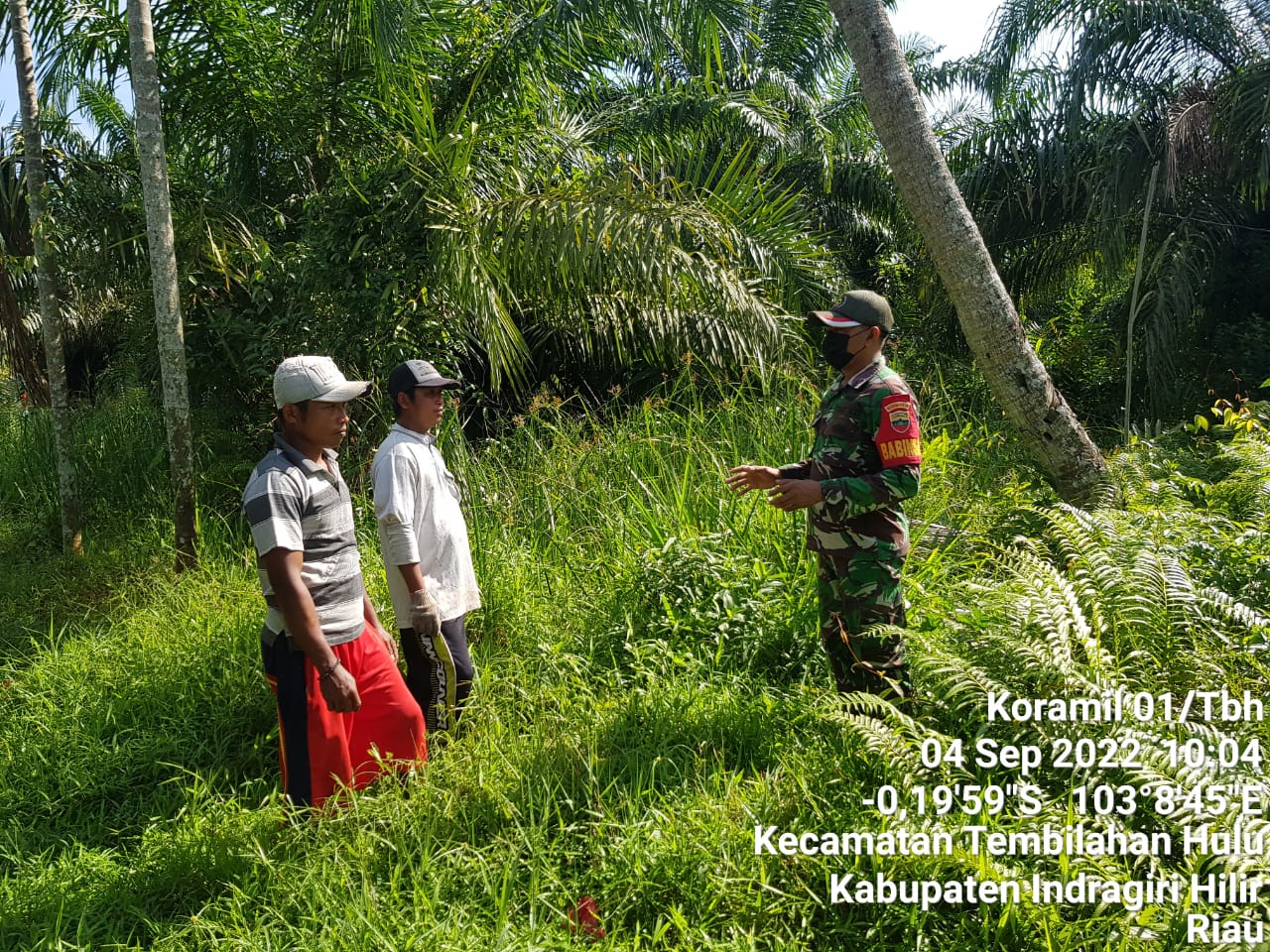 Kopda Komaruddin Babinsa Koramil 01/Tembilahan Jalankan Pengawasan Lahan Perkebunan