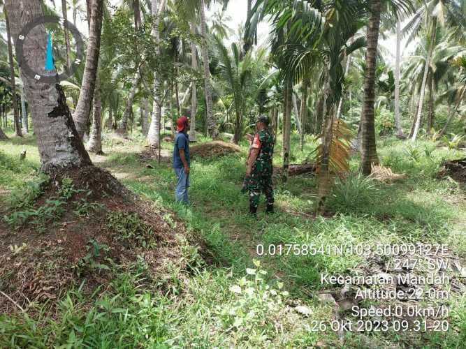 Babinsa Kendalikan Karhutlah Secara Berjenjang