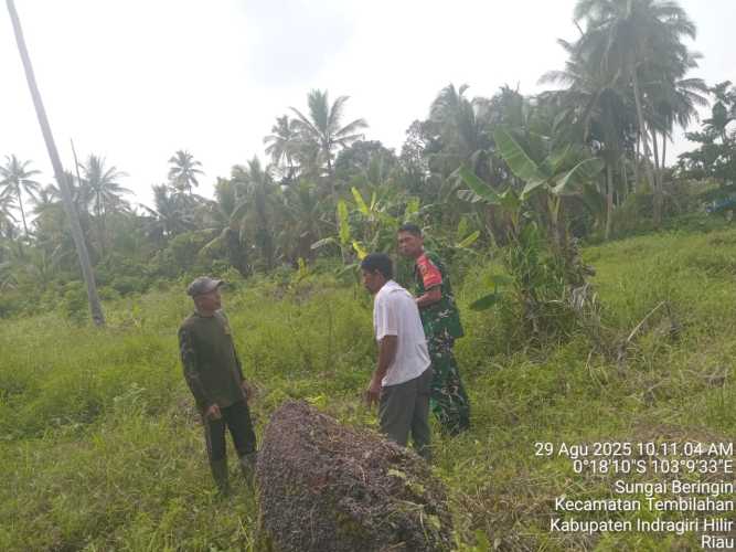 Babinsa Koramil 01/Tembilahan Gencar Sosialisasi dan Patroli Karhutla di Sungai Beringin