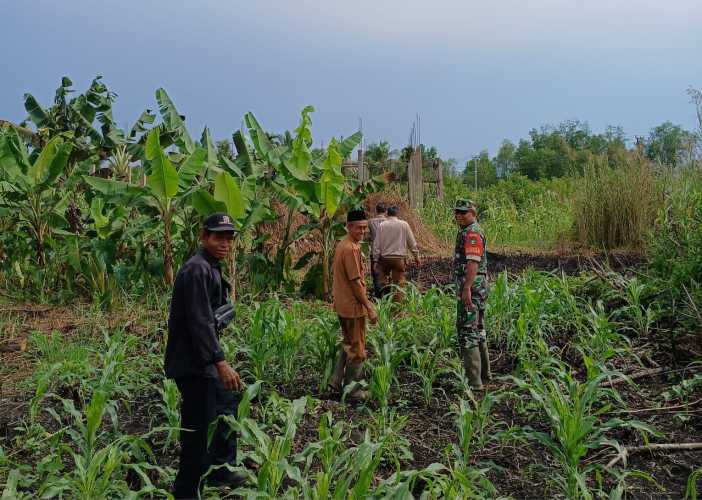 Babinsa Koramil 01/Tembilahan Laksanakan Patroli Tapal Batas Dukung Ketahanan Pangan di Wilayah Tembilahan Hilir