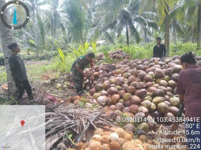 Serda Riyan Gusti Faldo Membantu Program Peningkatan ketahanan Pangan