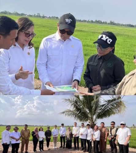 Direktur Jenderal Penataan Agraria Kunjungi Lahan Baku Sawah di Ogan Ilir