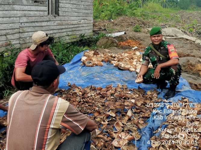 Jaga Kestabilan Harga Pinang, Babinsa Tinjau Harga Tingkat Petani