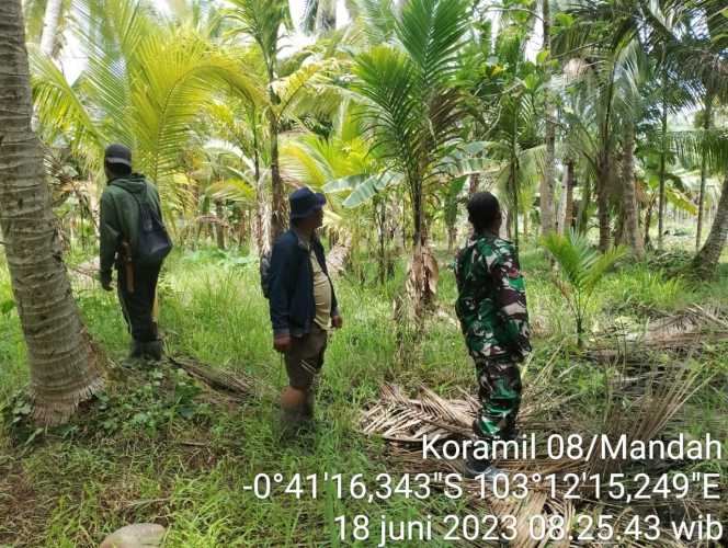 Kopda Sudarwis Lakukan Monitoring Karhutlah di Perkebunan warga