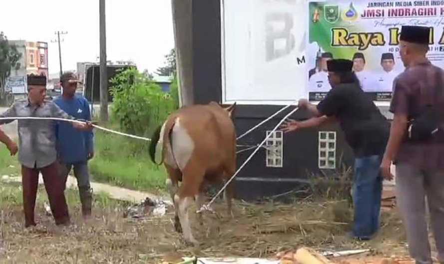 Di Kantor JMSI, Agrinas dan Pemda Inhu Gelar Penyembelihan Hewan Kurban Idul Adha 1447 H